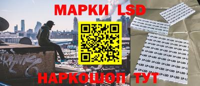 индика Жуковский