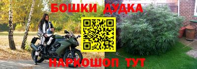 индика Жуковский