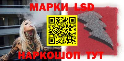 индика Жуковский