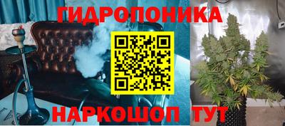 ECSTASY Заводоуковск