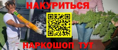 индика Жуковский